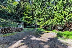 A gravel driveway leading to a rustic cabin surrounded by dense green forest. - Fantastic Waterfront Retreat in Eastsound with Expansive Deck and Stylish Interior - Dog Friendly (Eastsound)