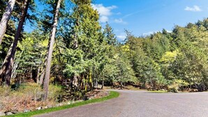Uma estrada asfaltada serpenteia por uma área arborizada, com árvores altas e céu limpo.