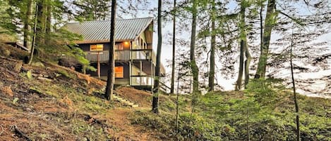 A cabin with a metal roof, surrounded by dense forest.