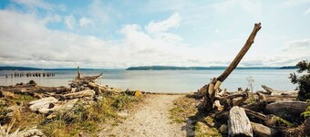 Whidbey Island Modern Farmhouse