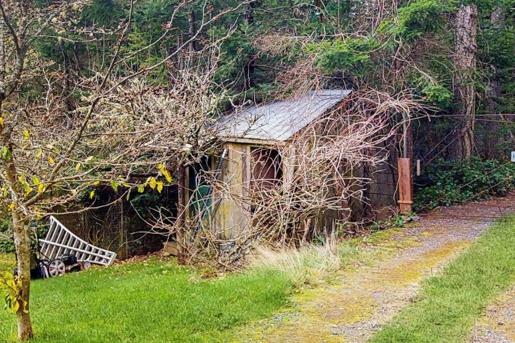 Un abri de jardin rustique en bois, surmonté d’un toit en métal, entouré d’une végétation luxuriante et bordé d’un chemin de gravier.