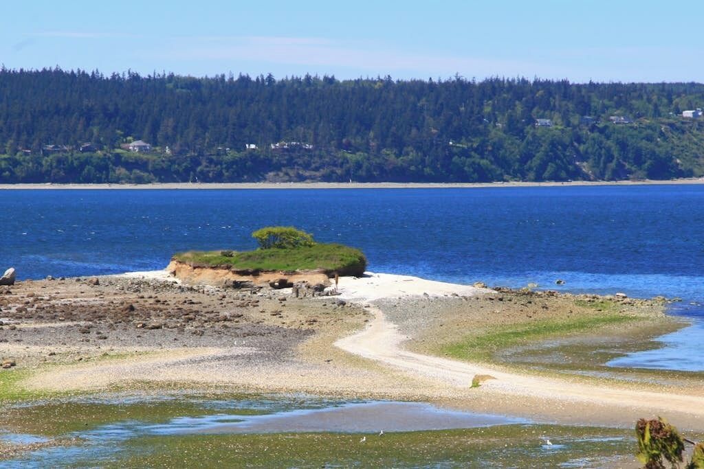 Een kustlandschap met een zandstrand, een klein grasrijk eiland en een beboste heuvel op de achtergrond.