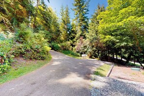 A paved road curving through a forested area with dense greenery on both sides. - Relaxing Coupeville Home with Water Views, Fire Pit, and Beach Access (Coupeville)
