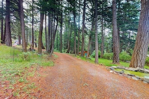 A gravel path in a forested area with tall trees and a small structure in the distance. - Pet Friendly Mountain View Retreat on Orcas Island with BBQ and Patio (Orcas Island)