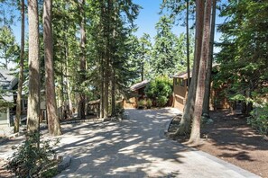 A forested area with a paved walkway leading to a cabin. - Scenic Waterfront Home with Hot Tub and Three Unique Living Spaces (Coupeville)