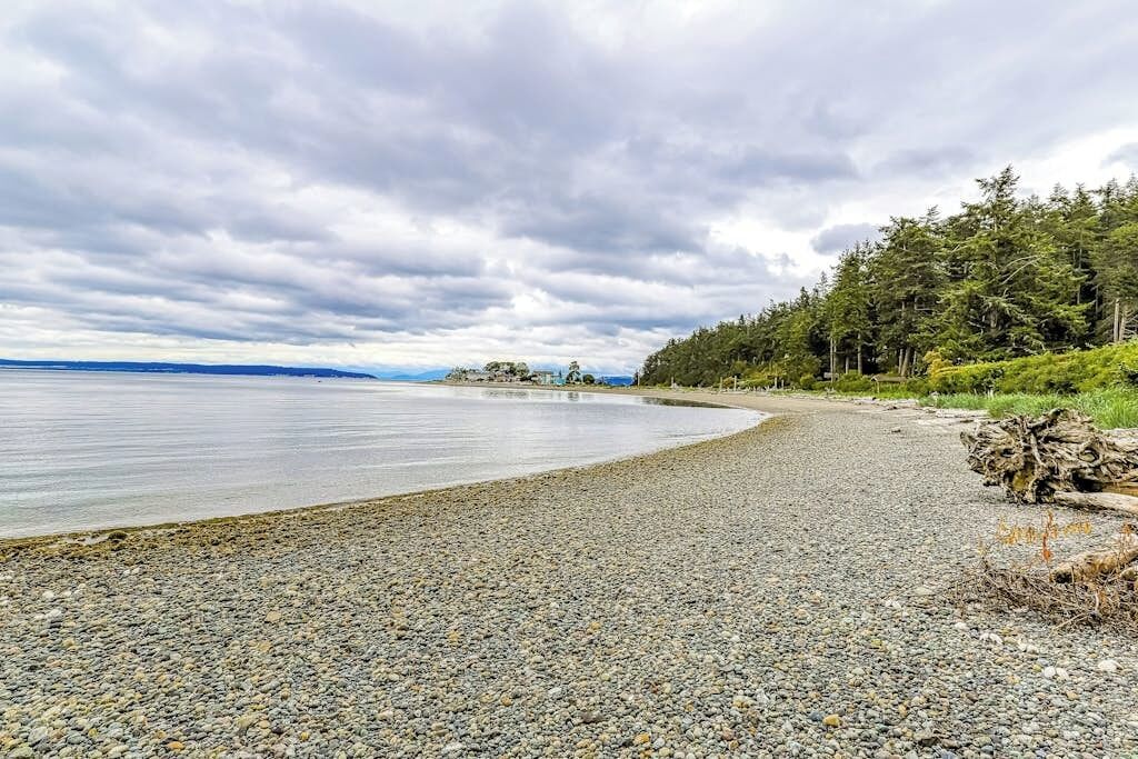 Une plage de galets bordée d’une zone boisée, avec une étendue d’eau en arrière-plan.