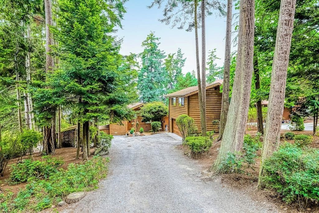 A forested area with a gravel path leading to a wooden cabin.