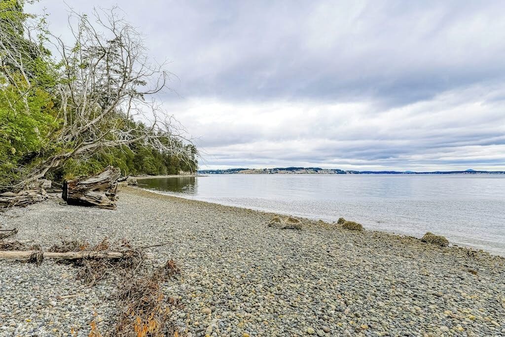 A pebbled beach with driftwood and a calm body of water.