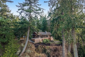 A cabin surrounded by dense forest, with a clear view of the surrounding trees. - Exquisite Oceanfront Home with Balcony, and Gym in Freeland (Freeland)