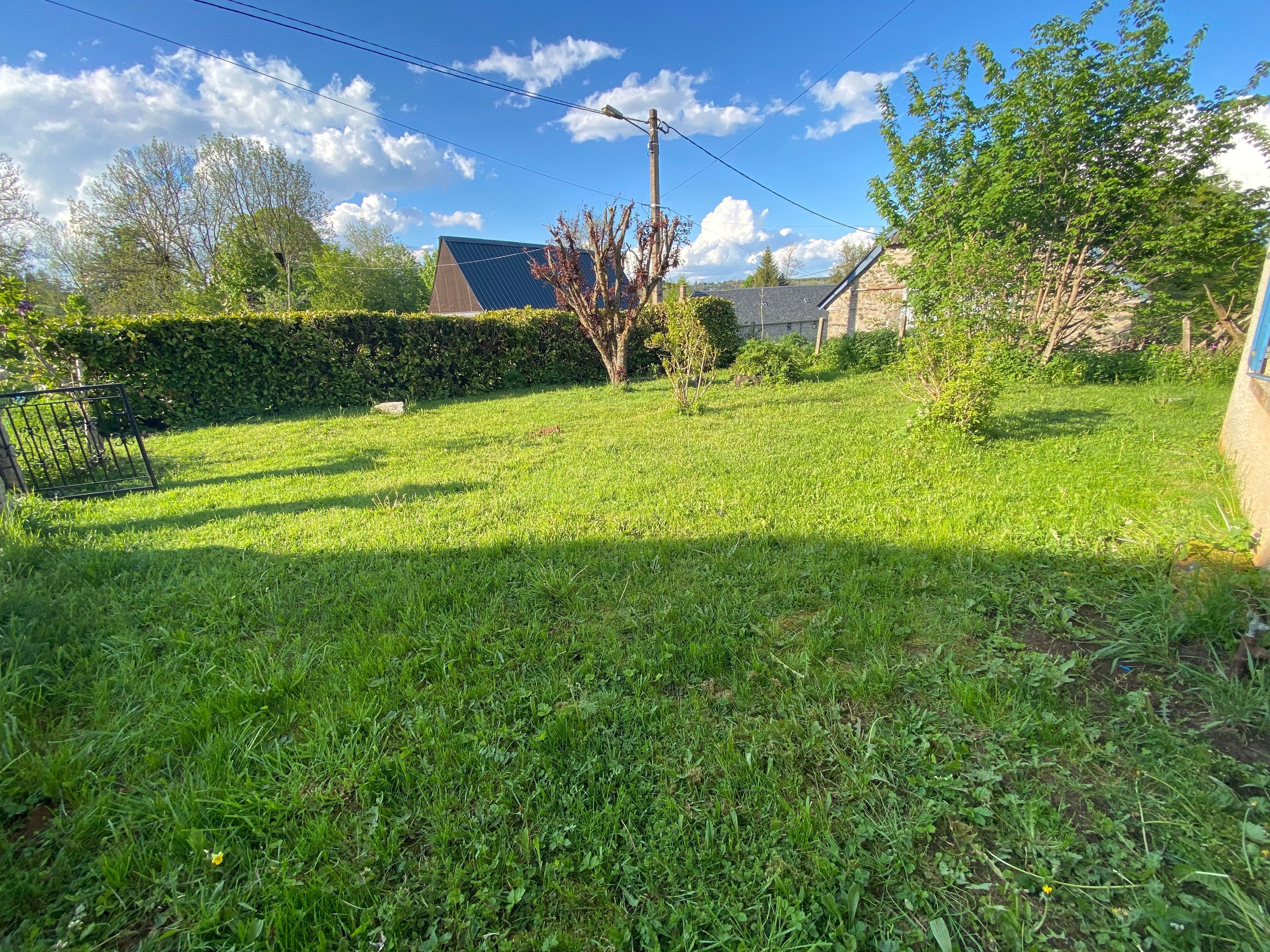 A grassy backyard with a hedge, a tree, and a stone building.