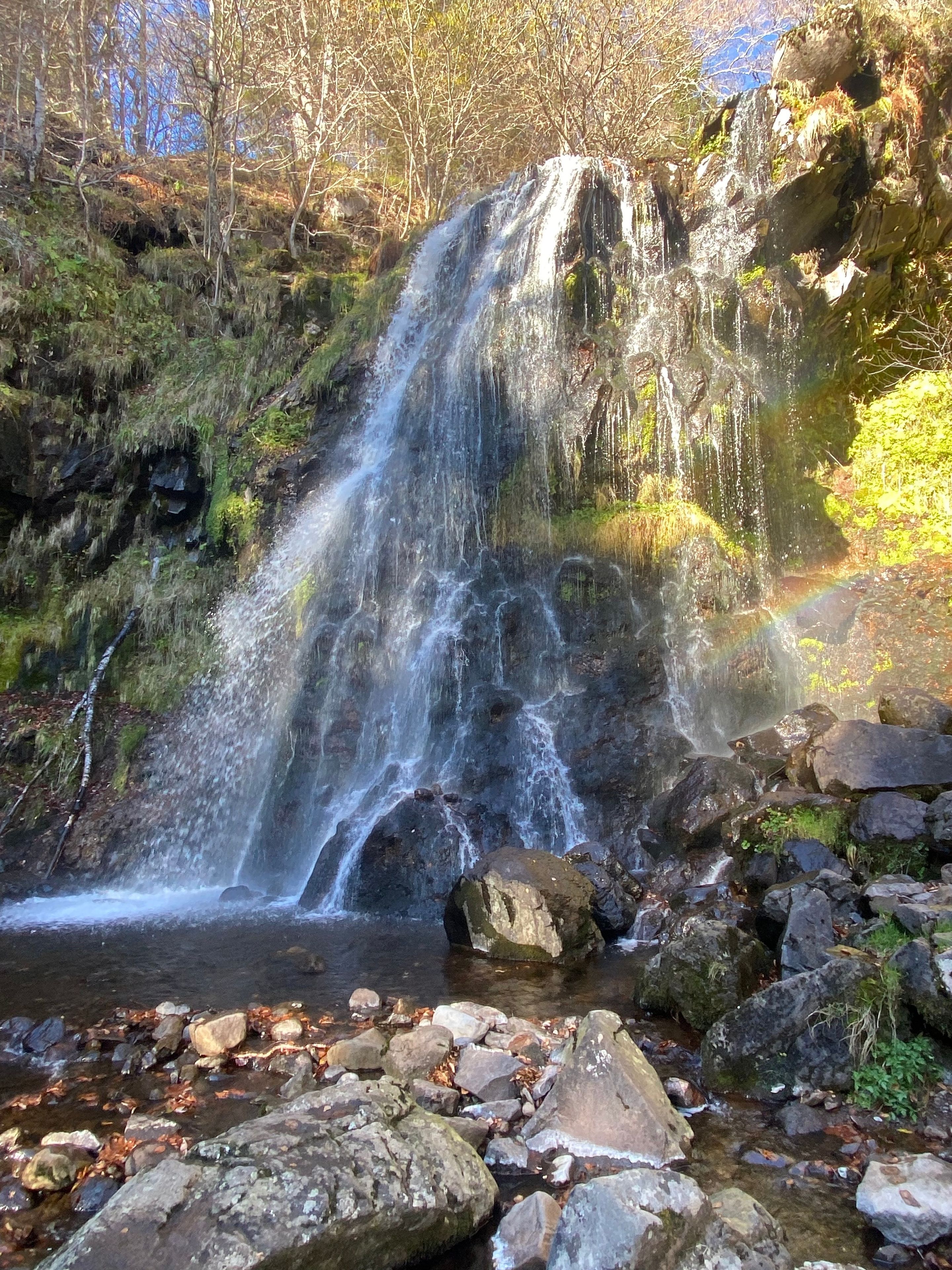Une cascade d’eau qui dévale des rochers dans une zone boisée.
