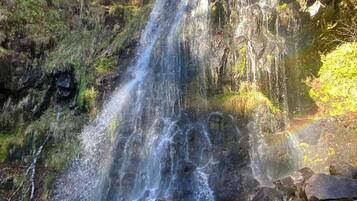 Une cascade d’eau qui dévale des rochers dans une zone boisée.