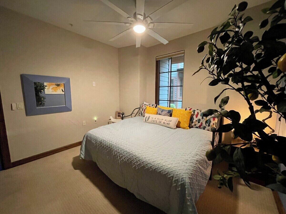 Une chambre à coucher avec un lit, un ventilateur de plafond, une fenêtre et une plante.
