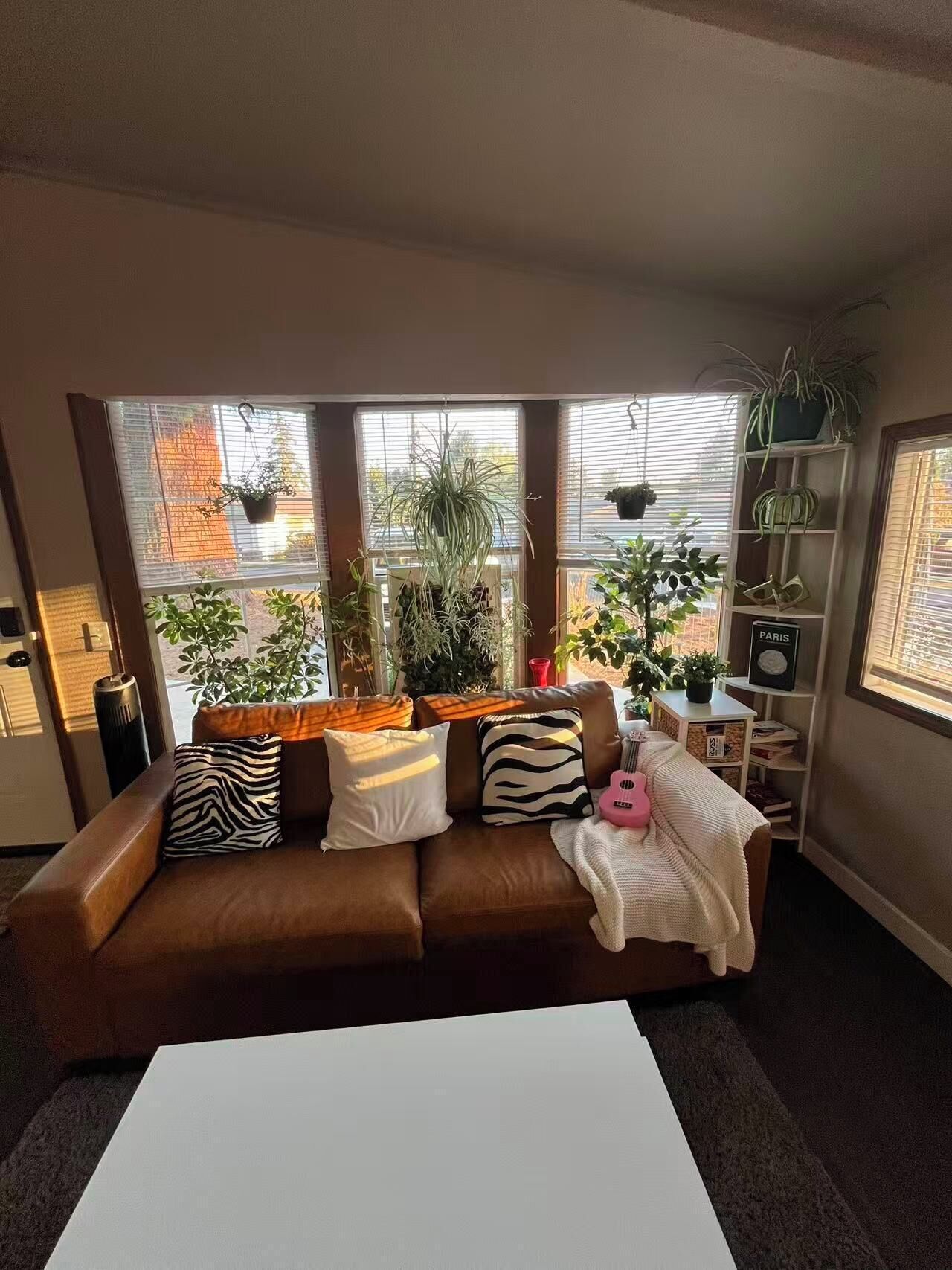 Ein Wohnzimmer mit einem braunen Ledersofa, mehreren Kissen, einem weißen Couchtisch und einem Bücherregal mit Pflanzen.