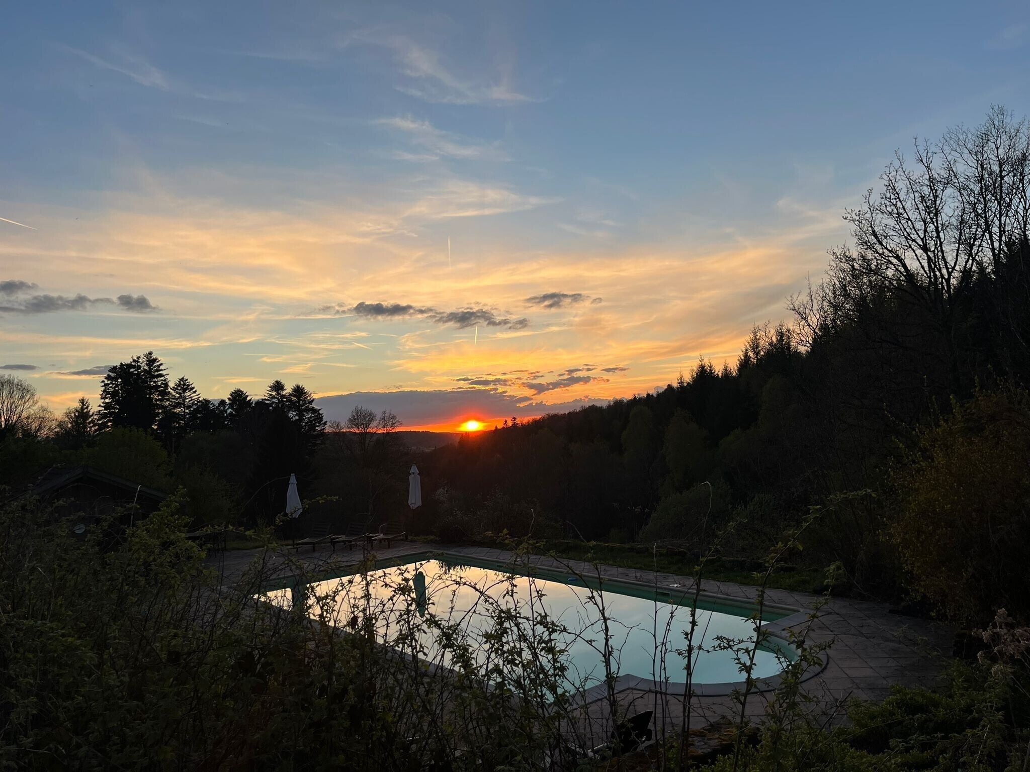 Une piscine entourée d’arbres, avec un coucher de soleil en arrière-plan.