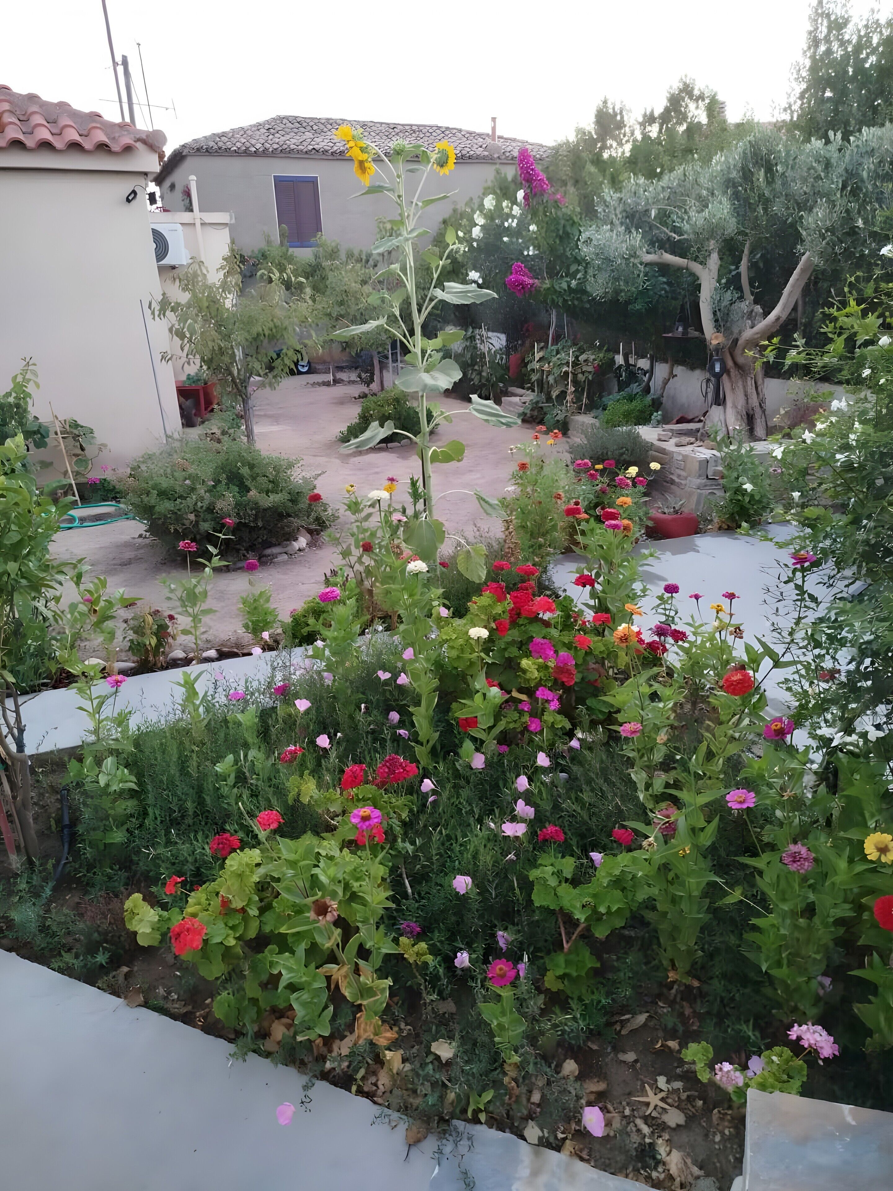 A garden with various plants and flowers, a house with a tiled roof, and a tree.