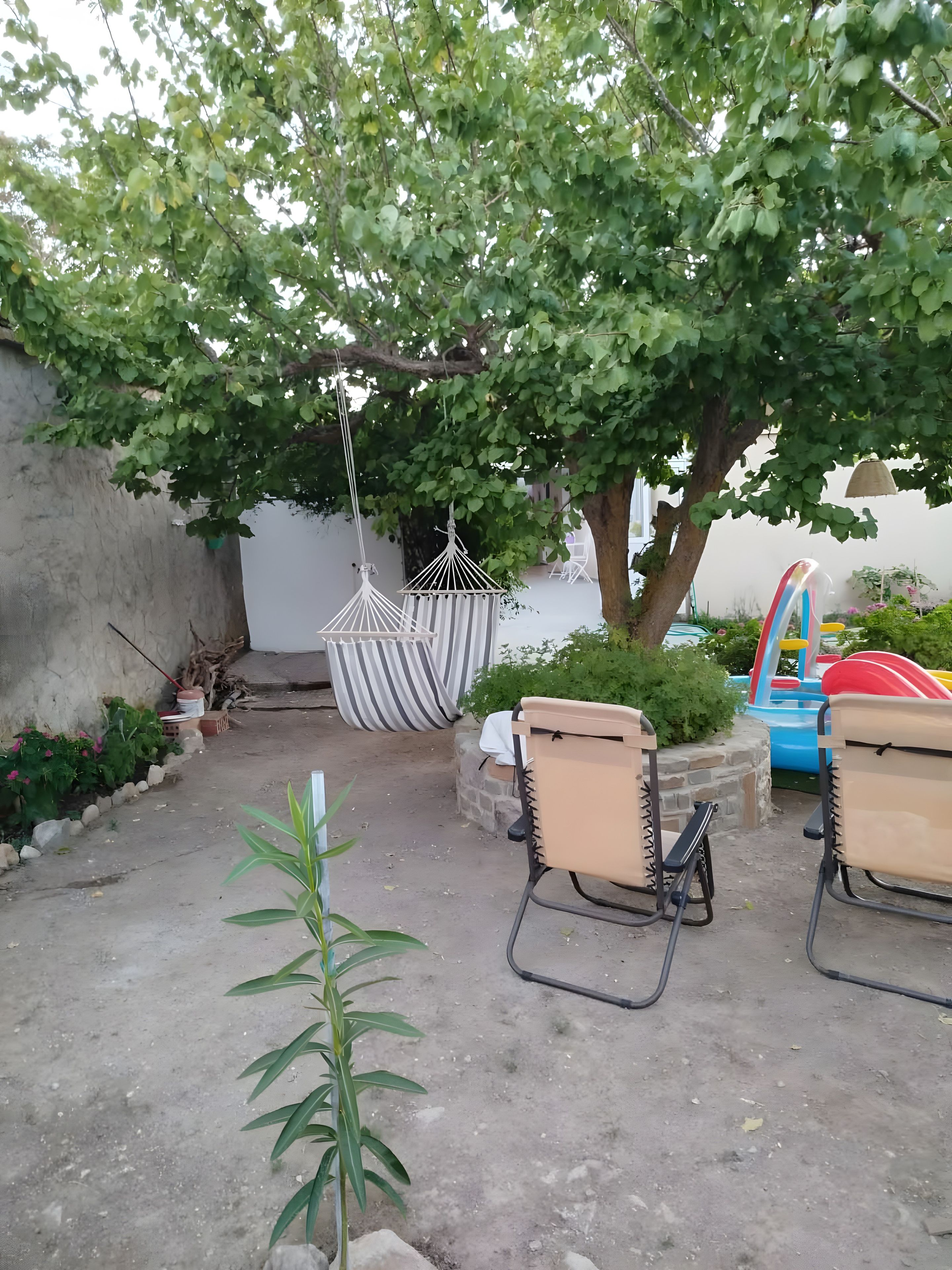A patio area with a hammock, two chairs, and a small plant.