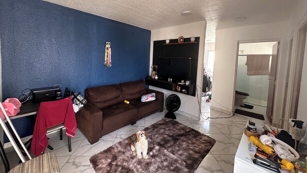 A living room with a blue wall, a brown sofa, a small rug, and a dog. - Cozy apartment (Manaus)