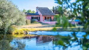 A house with a sloped roof, a garden, and a pond.