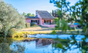 A house with a sloped roof, a garden, and a pond.
