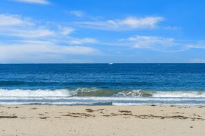 Ein Strand mit blauem Himmel und ruhiger See, ein Boot in der Ferne und Seetang am Sand.