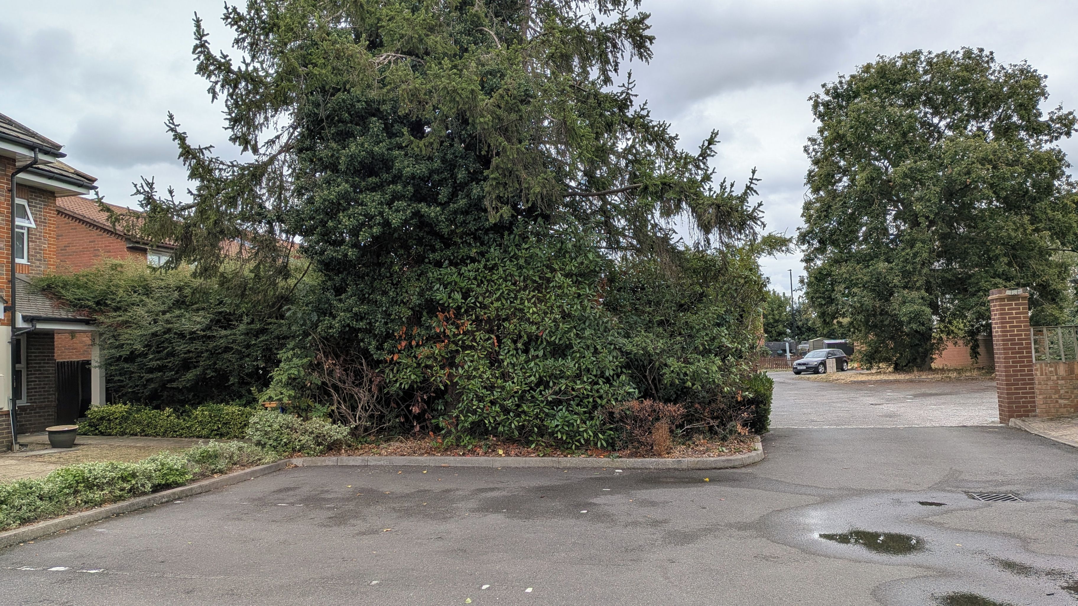 Eine Wohnstraße mit Häusern, einem parkenden Auto und einem großen Baum im Vordergrund.