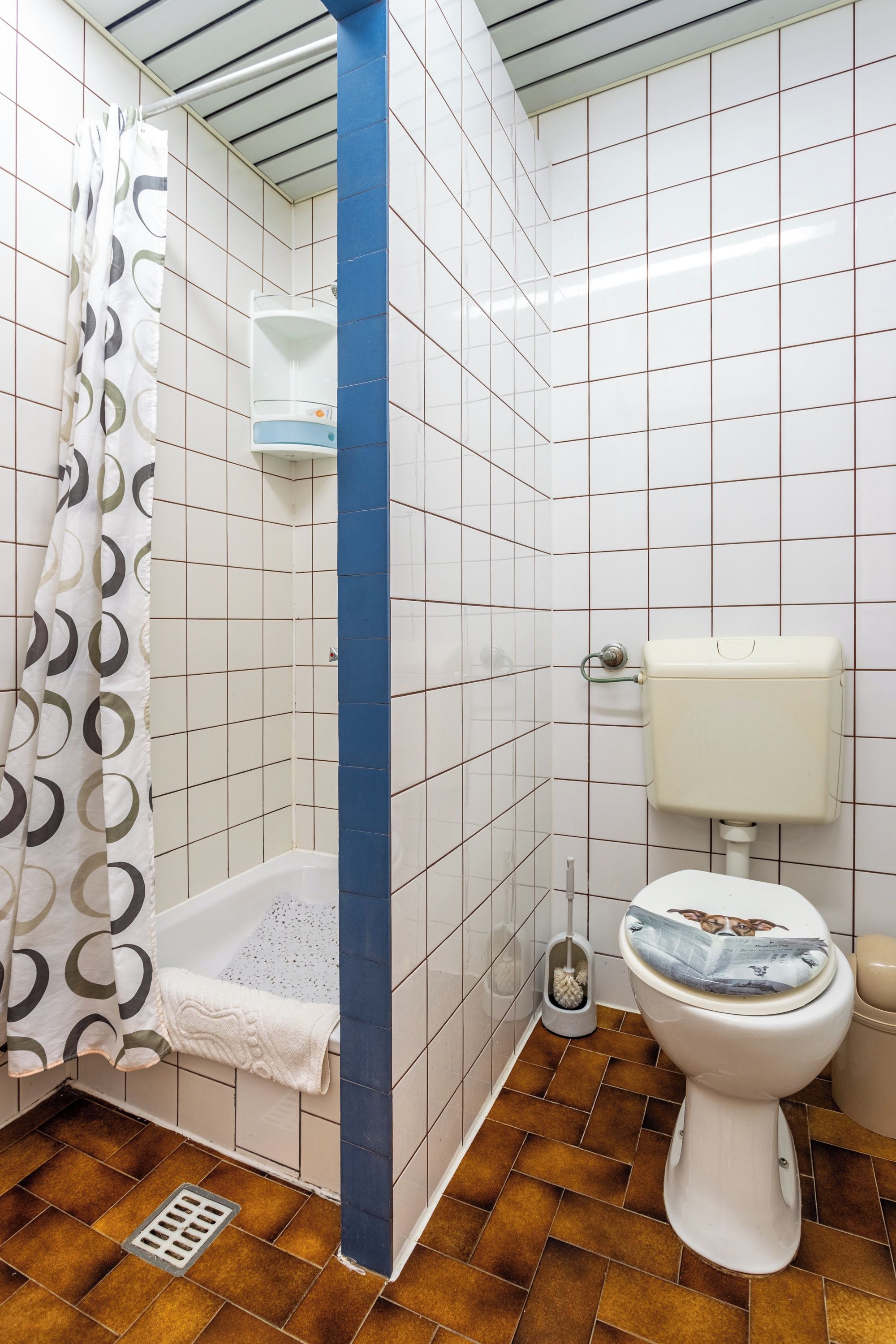 Ein Badezimmer mit weißen Fliesen, einem blauen vertikalen Akzent, einer Duschvorhang, einer Toilette und einem Fußbodenabfluss.