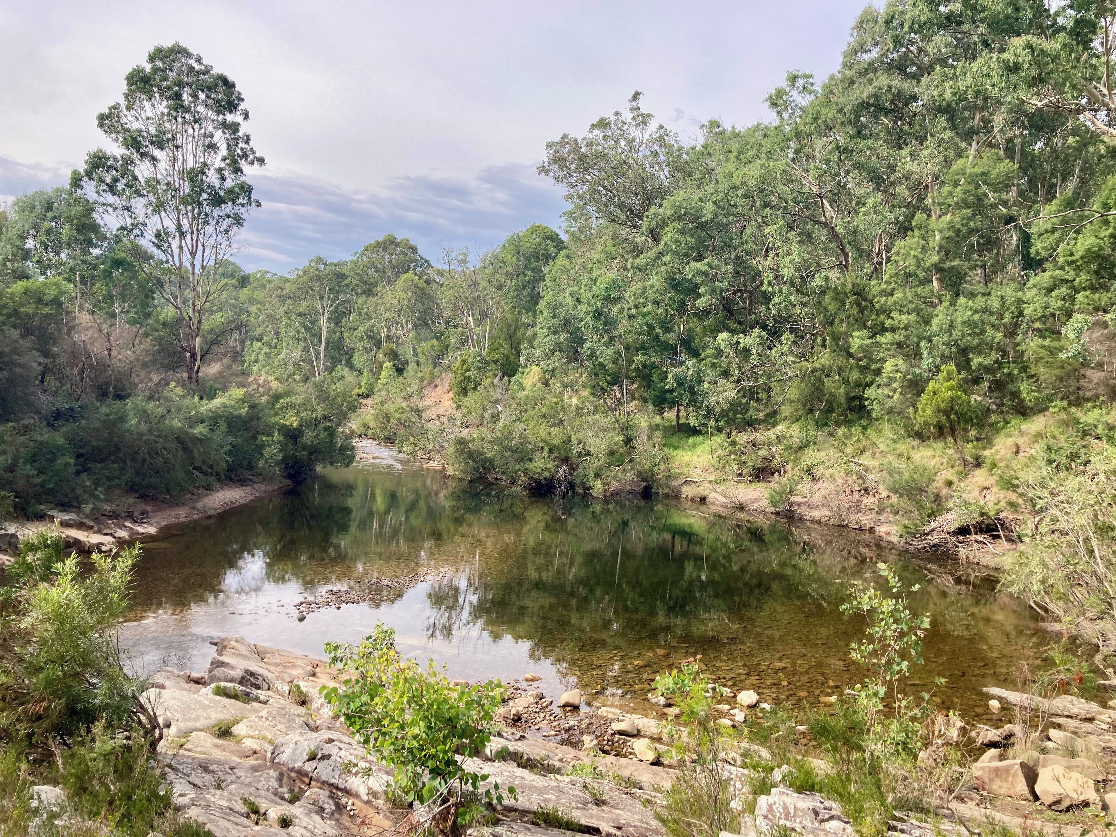 A natural landscape with a river, dense trees, and rocky terrain.