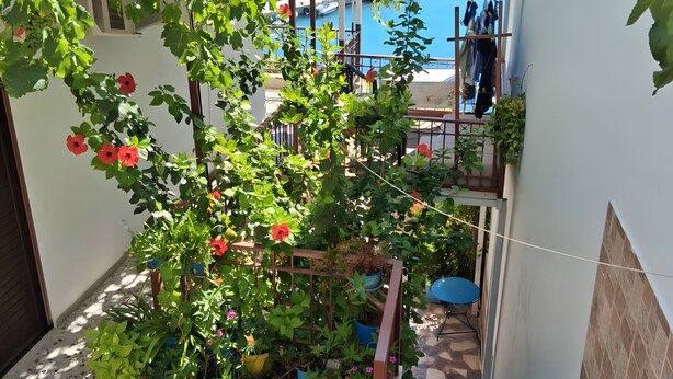 A balcony with a variety of potted plants and a view of the sea. - Apartment 'Porto Beach' with Sea View, Wi-Fi and Air Conditioning (Makry Gialos)