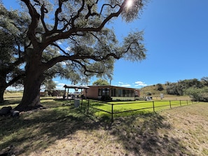 A building with a covered patio, surrounded by a fenced area and a large tree. - Beautiful 3-Bedroom Home in Sonoita Under the Oaks (Sonoita)