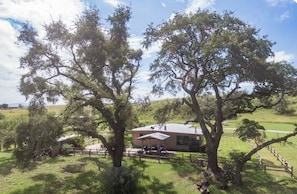 A building with a flat roof, surrounded by trees and a grassy field. - Beautiful 3-Bedroom Home in Sonoita Under the Oaks (Sonoita)