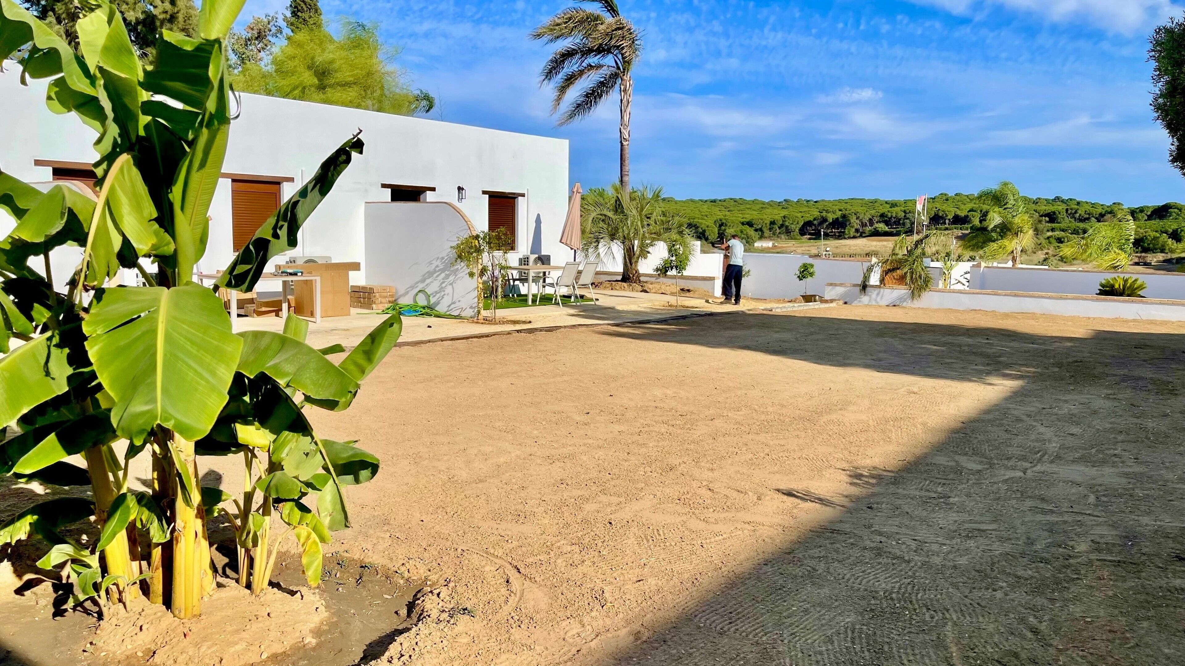 Un espacio exterior amplio con suelo de tierra, un edificio blanco con puerta y ventanas, y una palmera.