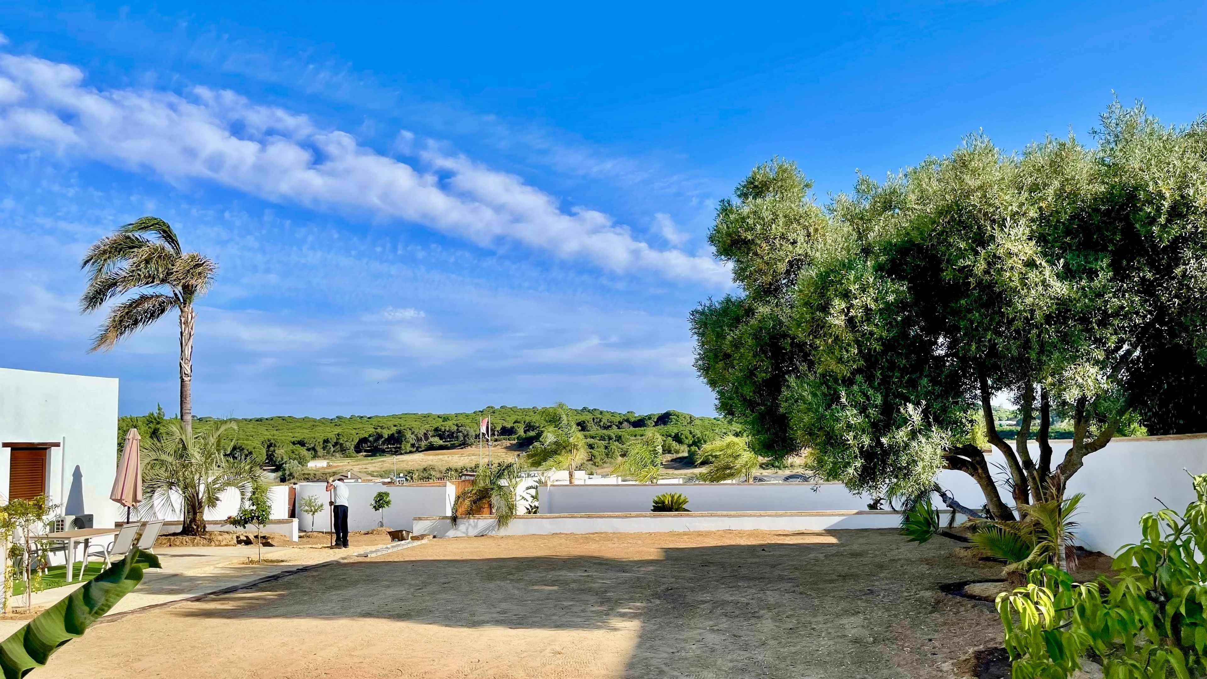 Un patio con una palmera, un edificio blanco y vistas a un paisaje verde.