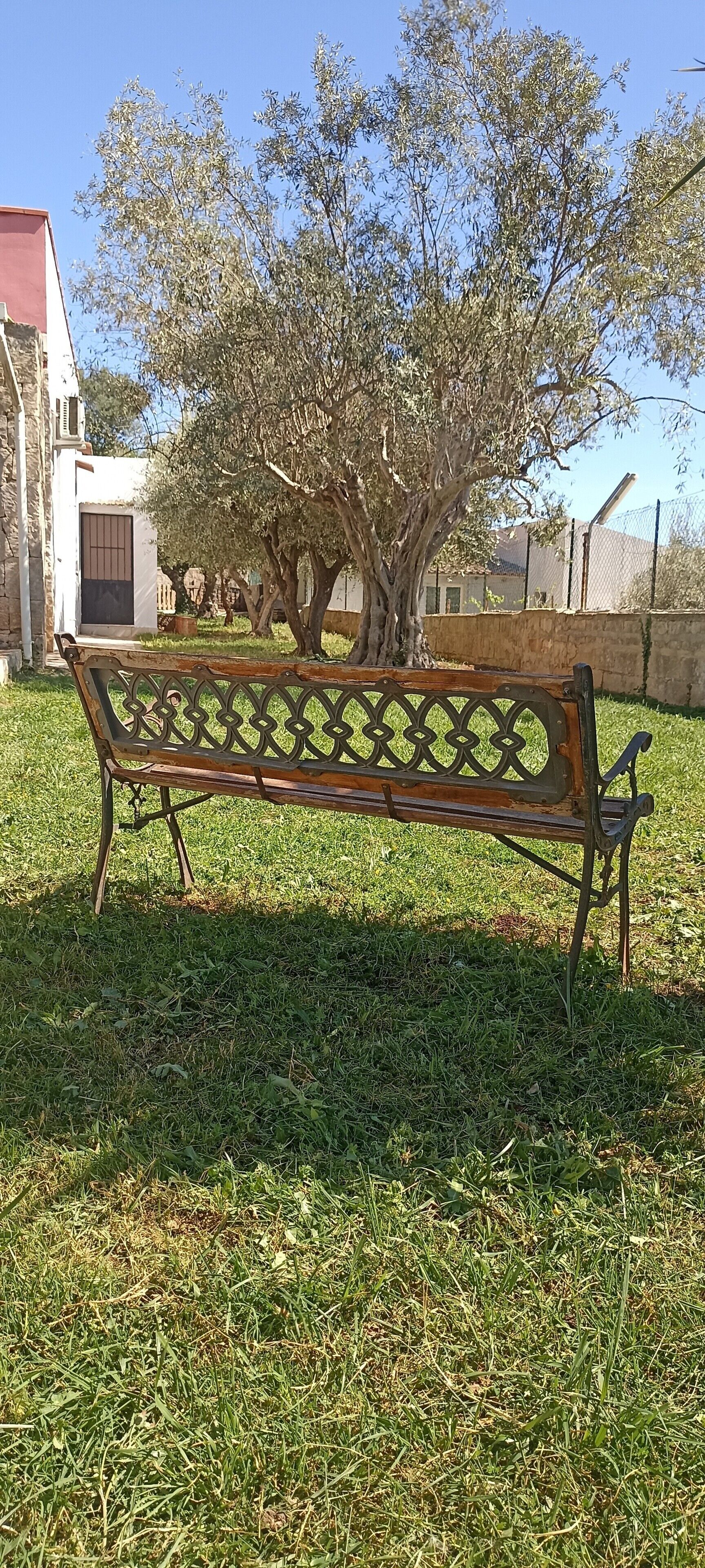 An outdoor bench in a grassy area with a tree and a building in the background.
