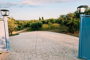 A paved entrance with hexagonal tiles, surrounded by greenery and a clear sky.