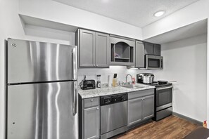 A modern kitchen with stainless steel appliances, a granite countertop, and a dishwasher. - Modern King Studio, Pool, Near MD Anderson and NRG (Houston)