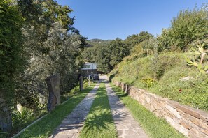A stone pathway leading to a modern building with a stone wall on one side and dense greenery on the other.