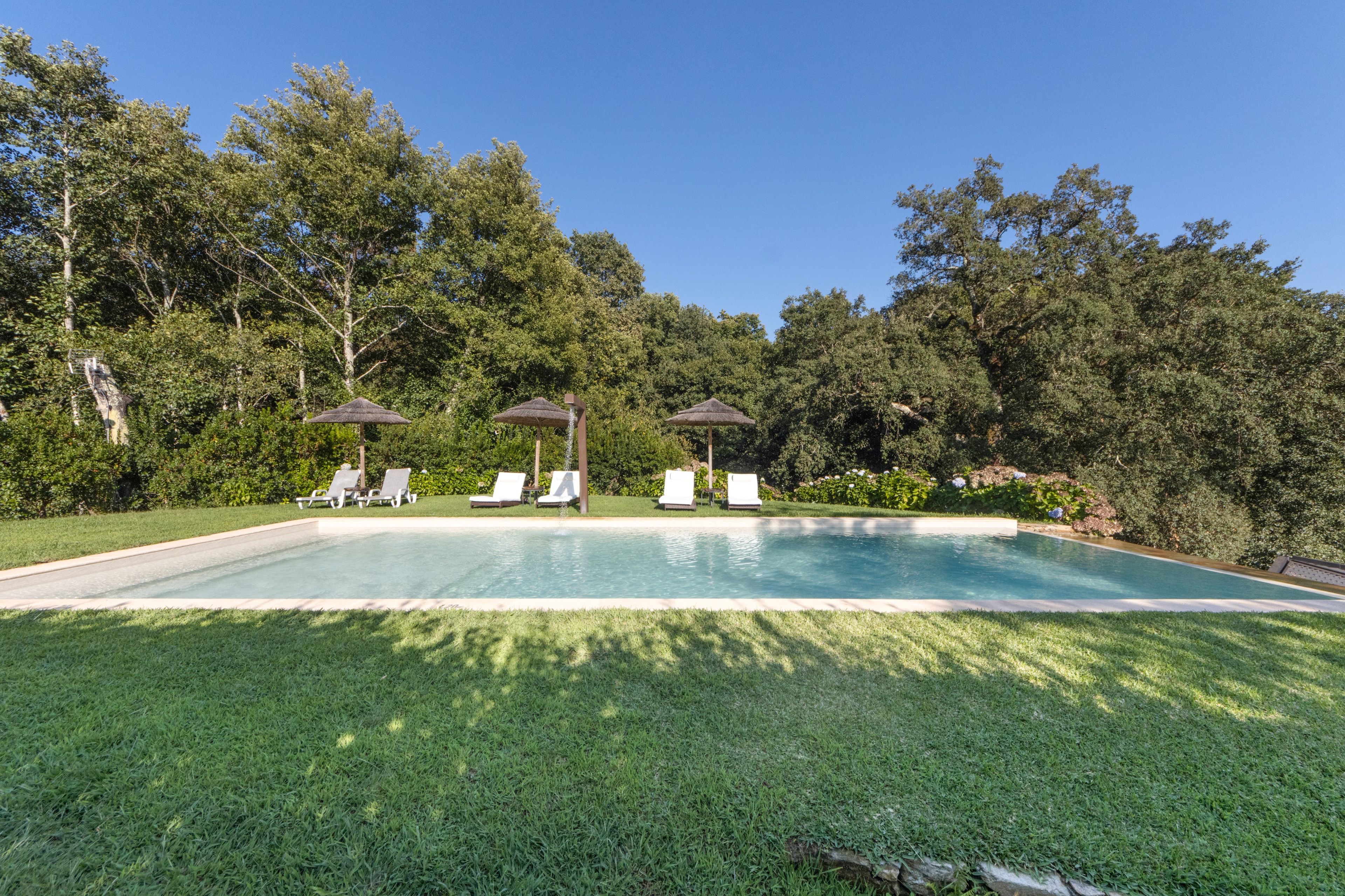 A rectangular swimming pool with a clear blue surface, surrounded by a well-maintained lawn and trees. There are lounge chairs and umbrellas providing shade.