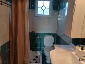 Un bagno con doccia, servizi igienici e lavandino.