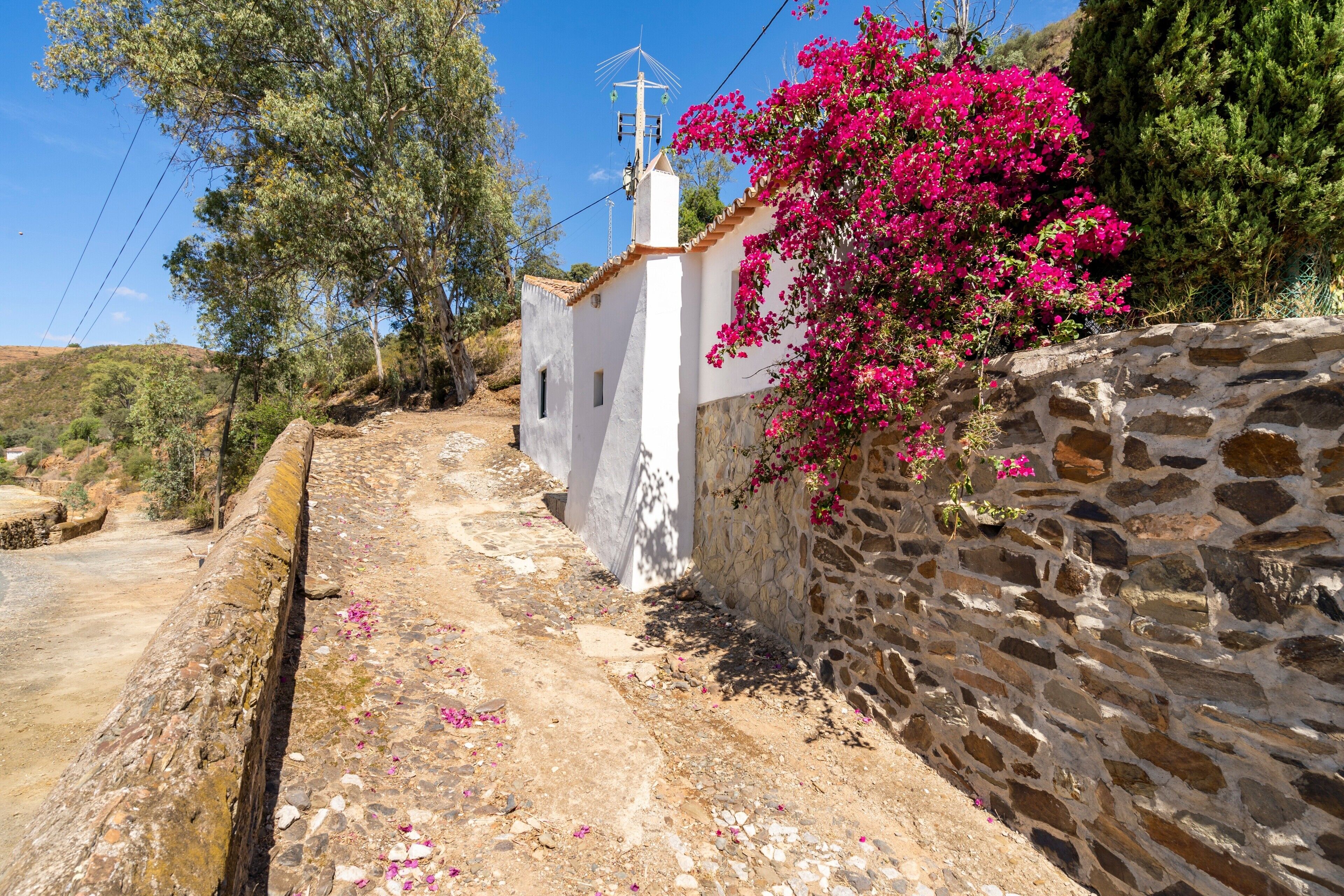 Un sendero estrecho, de paredes de piedra, que lleva a un edificio blanco con techo de tejas, rodeado de vegetación y un cielo despejado.