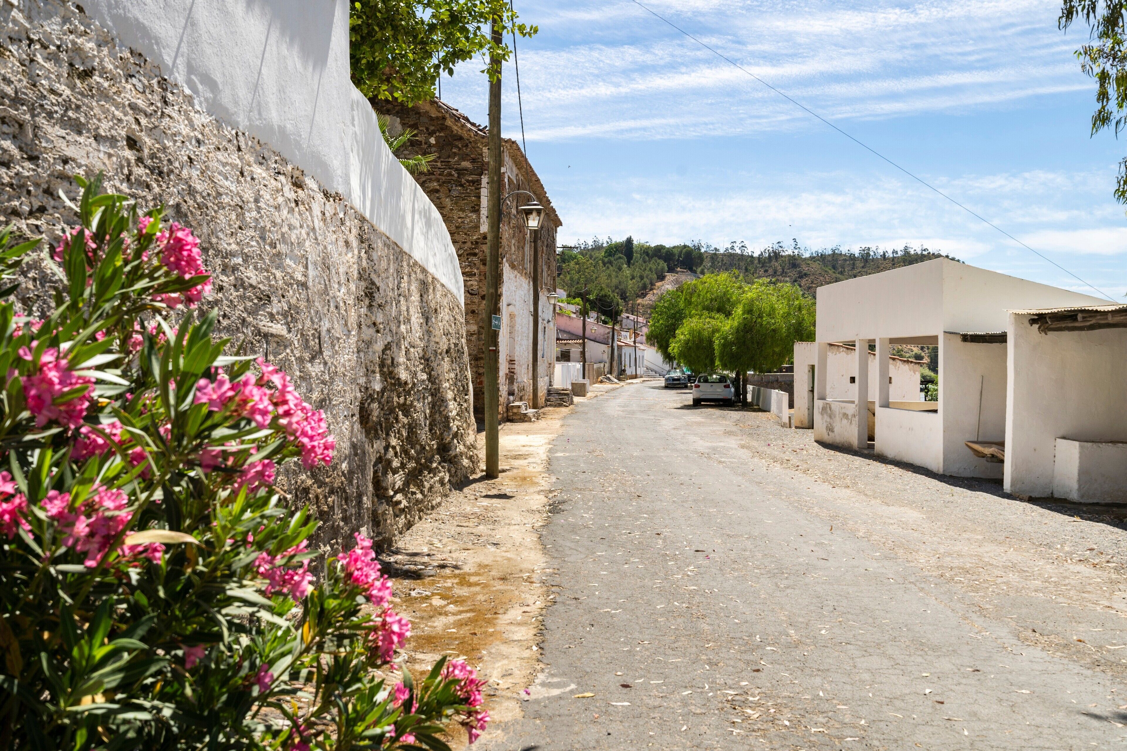 Eine enge Straße mit Häusern an beiden Seiten, ein unbefestigter Weg und im Vordergrund rosa Blüten.