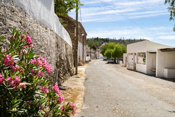 A narrow street with buildings on both sides, a dirt path, and pink flowers in the foreground.