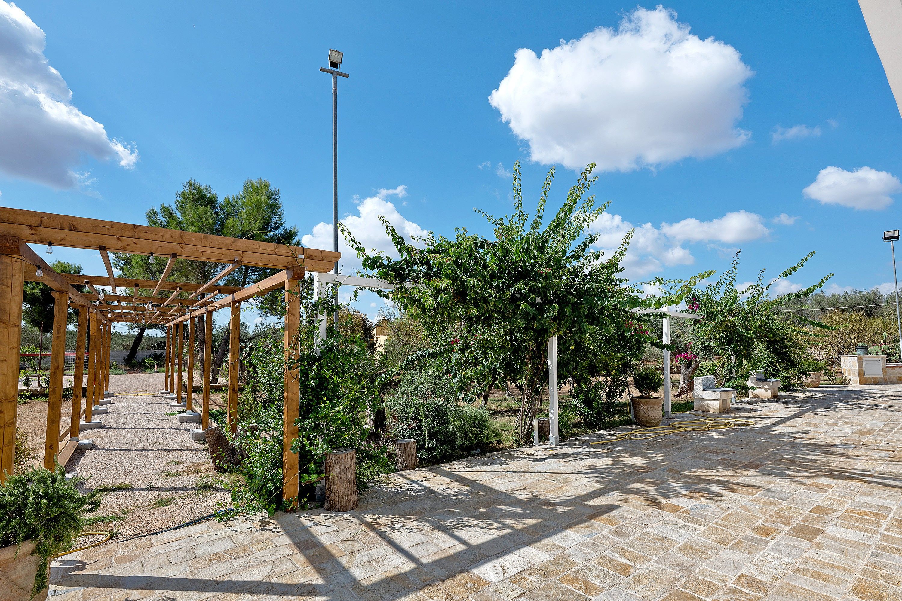 Une pergola avec un chemin de gravier, entourée de verdure et sous un ciel dégagé.