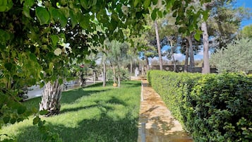 Un sentiero circondato da vegetazione rigogliosa e alberi, che conduce a un'area di parcheggio.