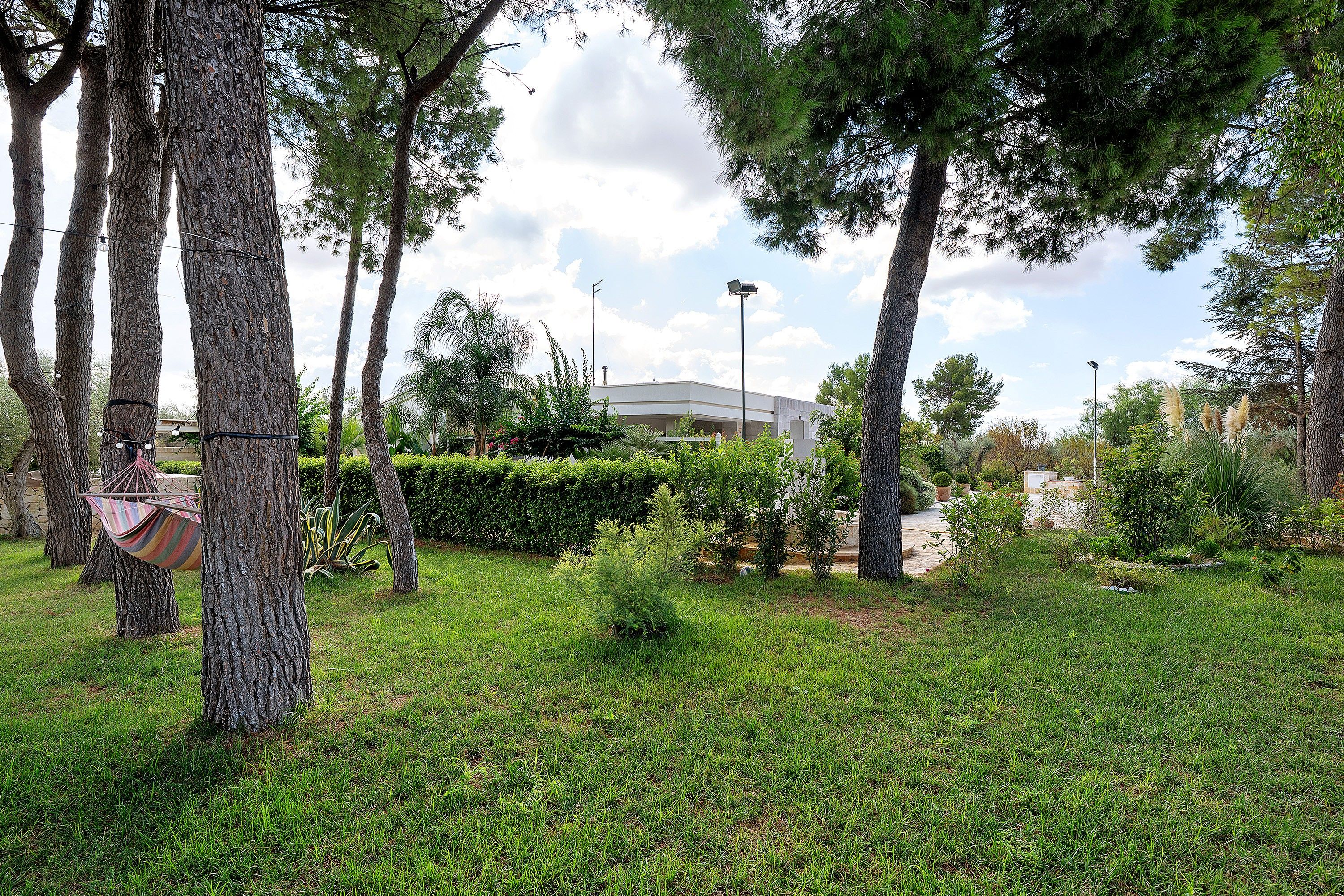 A landscaped garden with trees, a hammock, and a building in the background.