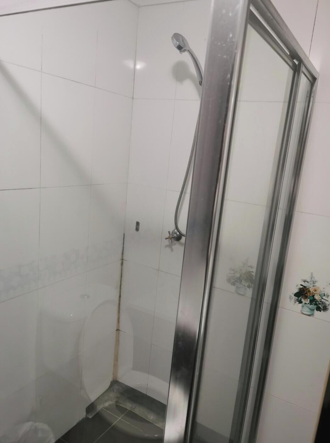 Shower, towels, soap, toilet paper