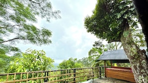 A wooden deck with a bamboo railing overlooking a lush forest.