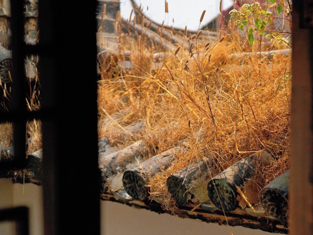 A traditional building with a roof covered in dry vegetation.