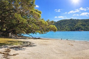 Une plage avec un grand arbre, un banc et une vue sur l’eau et les collines.
