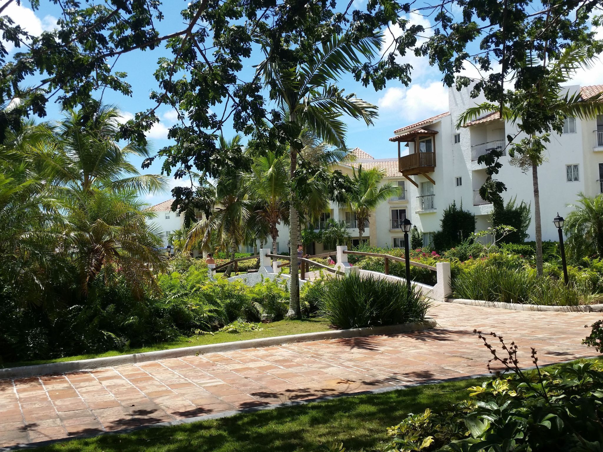 A paved pathway leading to a building with multiple balconies, surrounded by lush greenery and palm trees.